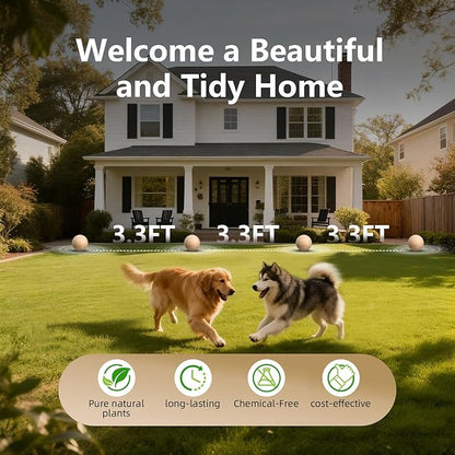 Peppermint Rodent Repellent