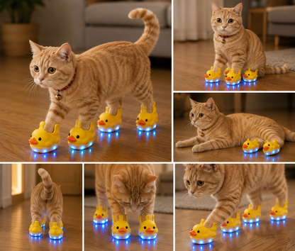Duck Cat Shoes with lights (4 paws)