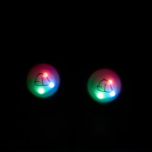 Duck Cat Shoes with lights (4 paws)